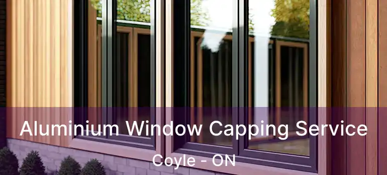  Aluminium Window Capping Service Coyle - ON