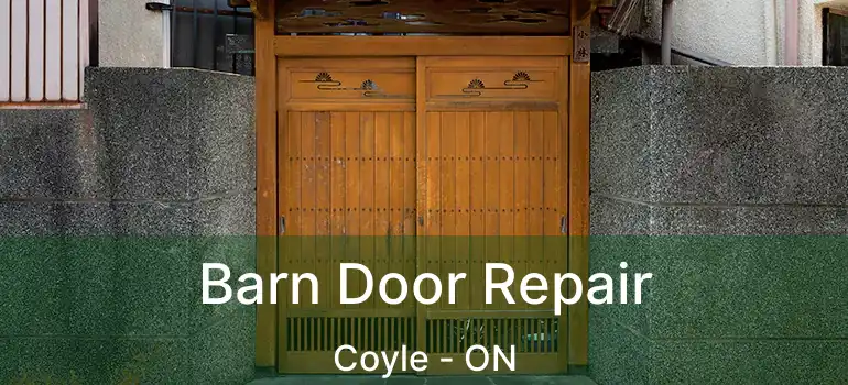  Barn Door Repair Coyle - ON