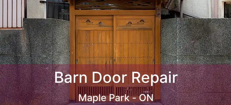  Barn Door Repair Maple Park - ON