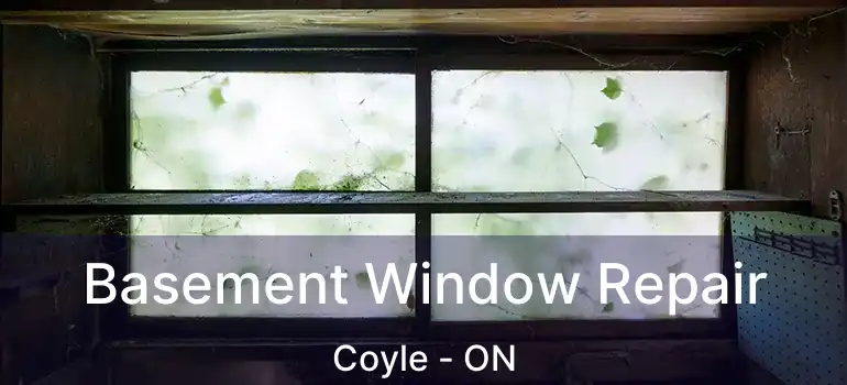  Basement Window Repair Coyle - ON