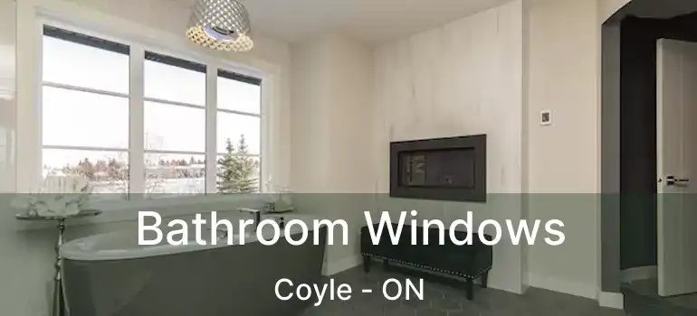  Bathroom Windows Coyle - ON
