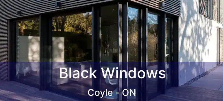  Black Windows Coyle - ON