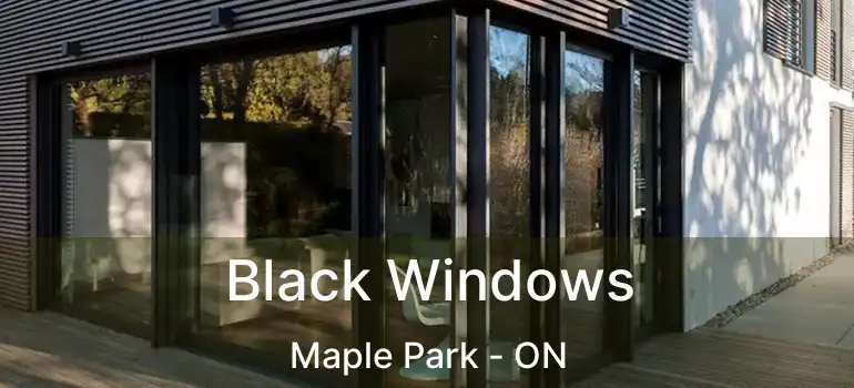  Black Windows Maple Park - ON