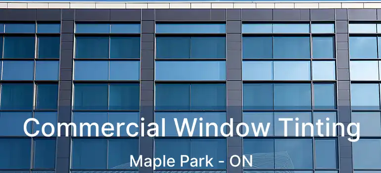  Commercial Window Tinting Maple Park - ON