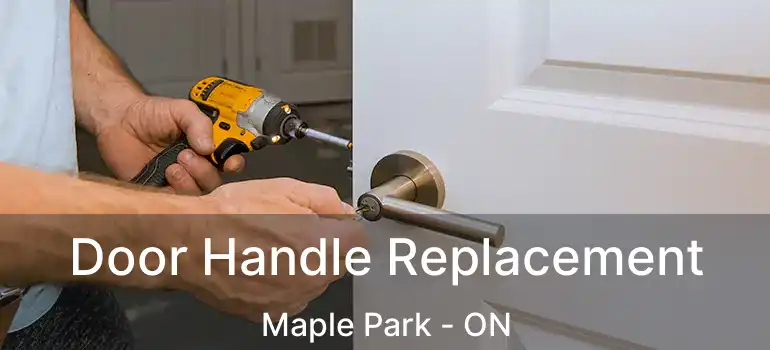  Door Handle Replacement Maple Park - ON
