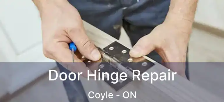  Door Hinge Repair Coyle - ON