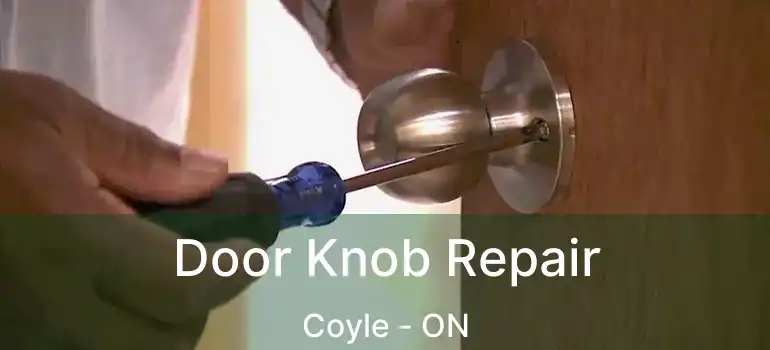  Door Knob Repair Coyle - ON
