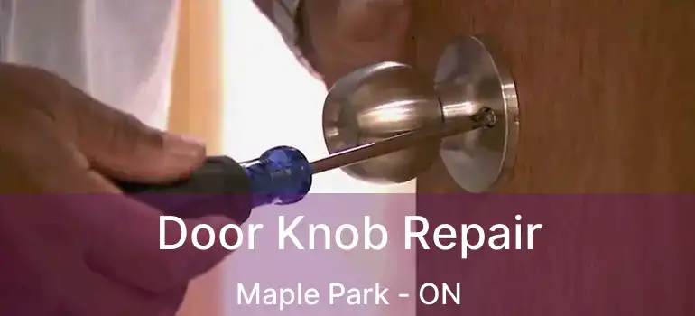  Door Knob Repair Maple Park - ON