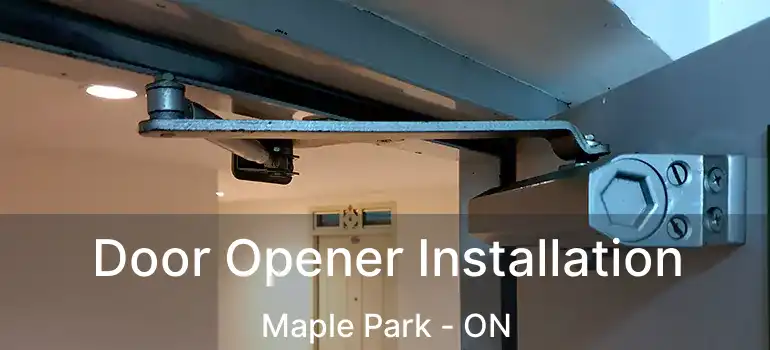  Door Opener Installation Maple Park - ON