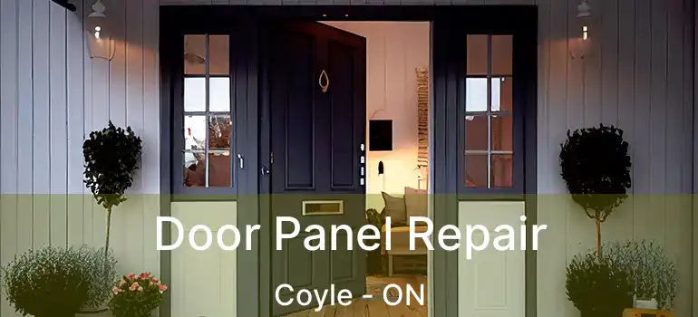  Door Panel Repair Coyle - ON