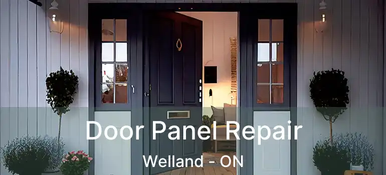  Door Panel Repair Welland - ON