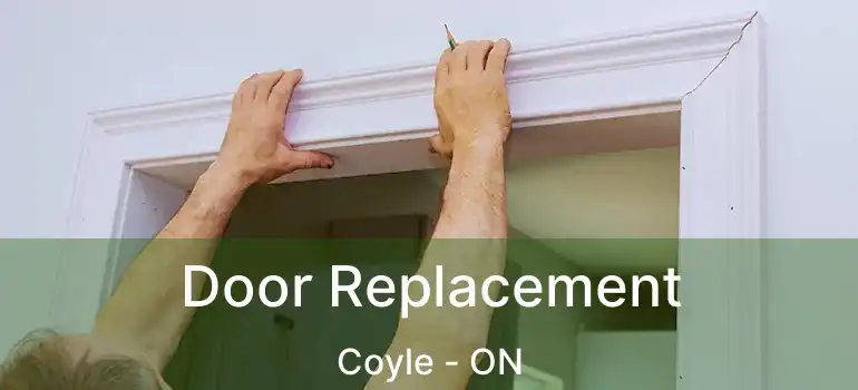  Door Replacement Coyle - ON