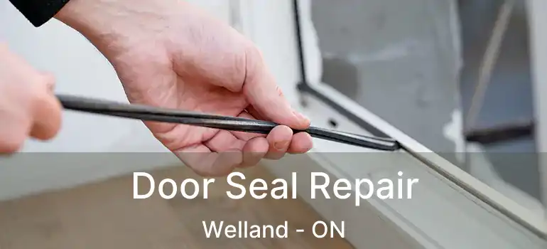  Door Seal Repair Welland - ON