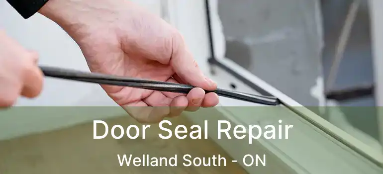  Door Seal Repair Welland South - ON