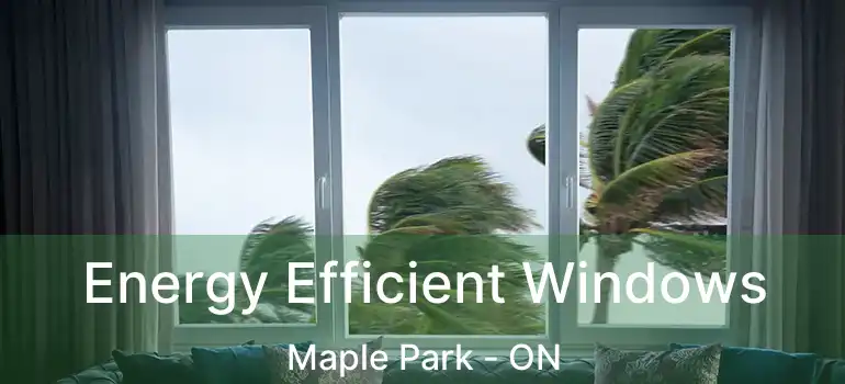  Energy Efficient Windows Maple Park - ON