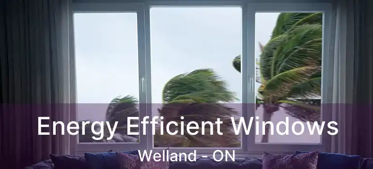 Energy Efficient Windows Welland - ON