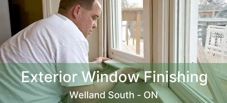  Exterior Window Finishing Welland South - ON