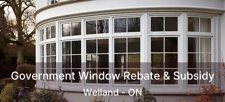  Government Window Rebate & Subsidy Welland - ON