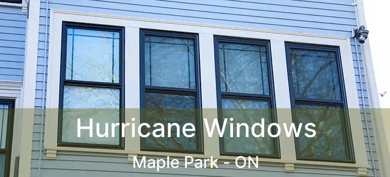  Hurricane Windows Maple Park - ON
