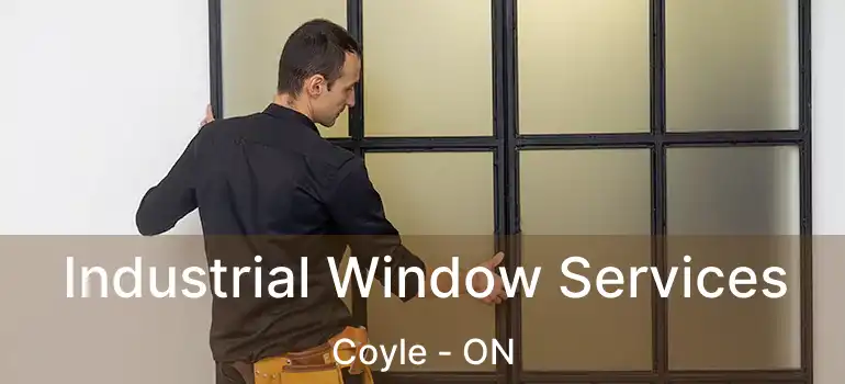  Industrial Window Services Coyle - ON