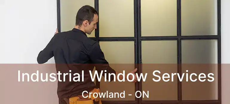  Industrial Window Services Crowland - ON