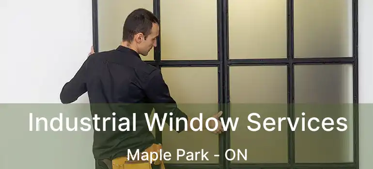  Industrial Window Services Maple Park - ON
