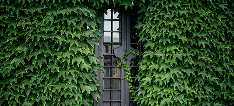 Garden Gate Repair in Welland, ON