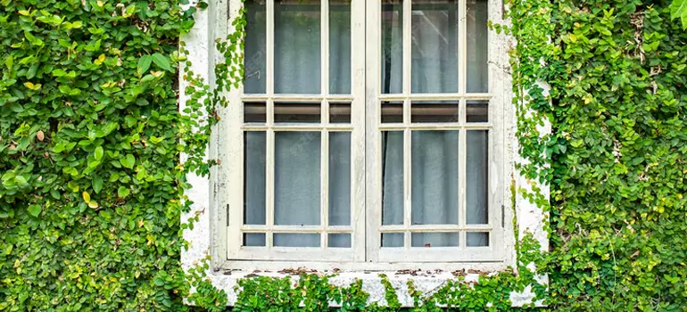 Garden Window Repair Near Me in Welland, ON