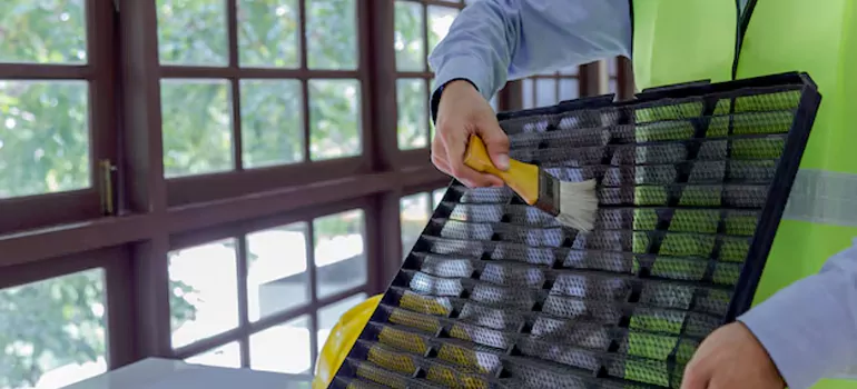 Traditional Window Grille Installation Options in Welland, ON