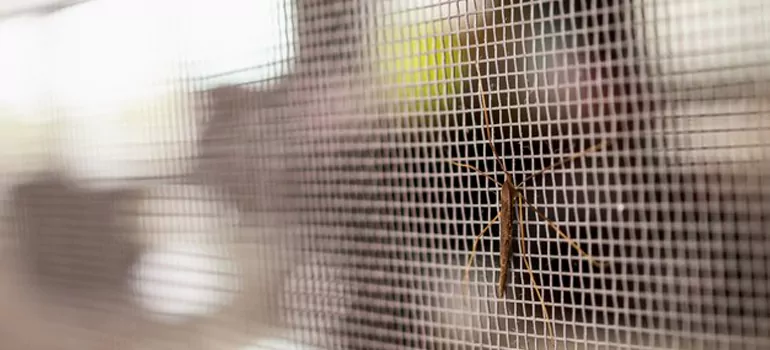 Repair Mosquito Mesh For Windows in Welland, Ontario