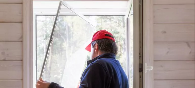 Expandable Window Screen Installation in Coyle, Ontario