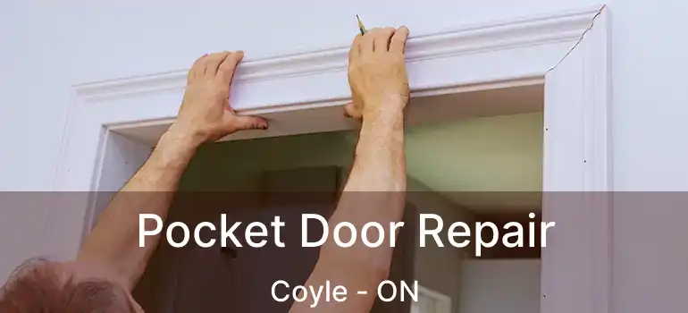  Pocket Door Repair Coyle - ON