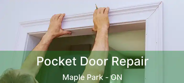  Pocket Door Repair Maple Park - ON