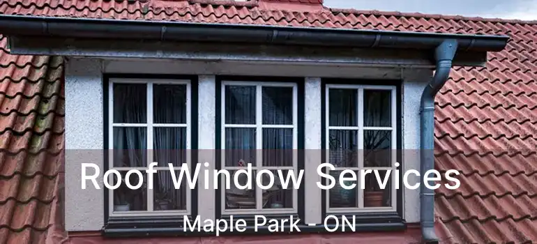 Roof Window Services Maple Park - ON