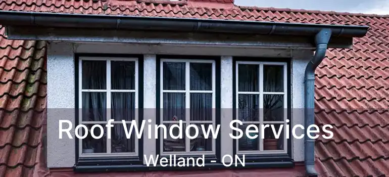  Roof Window Services Welland - ON