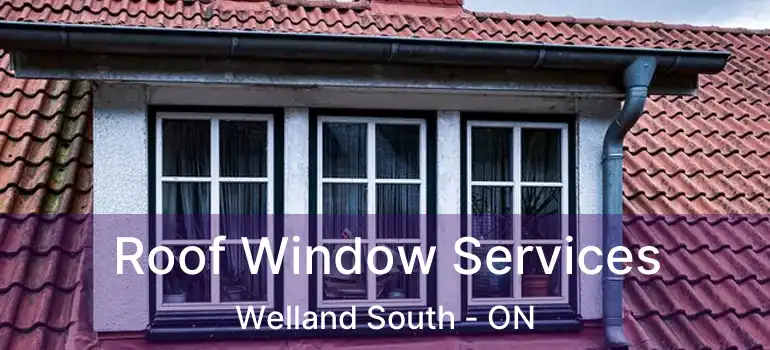  Roof Window Services Welland South - ON