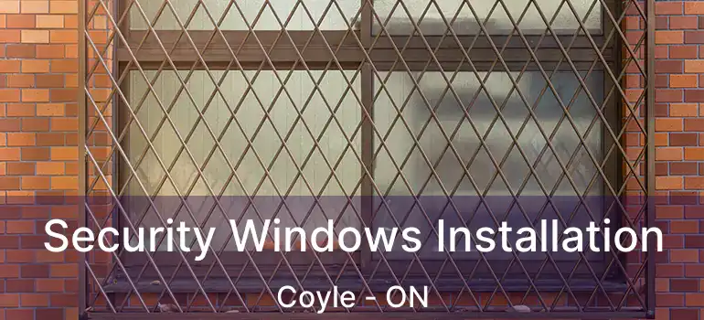  Security Windows Installation Coyle - ON