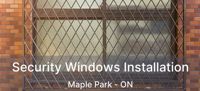  Security Windows Installation Maple Park - ON