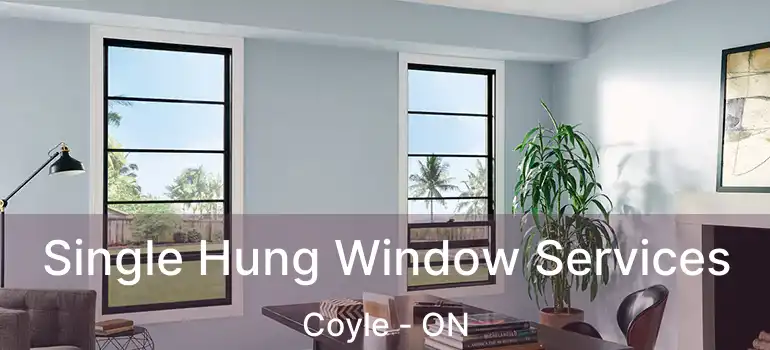  Single Hung Window Services Coyle - ON