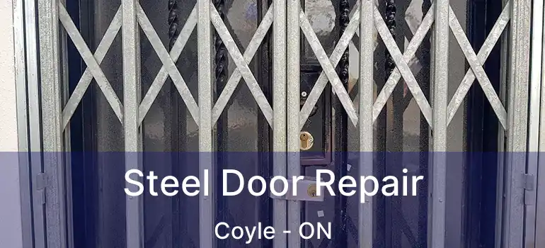  Steel Door Repair Coyle - ON