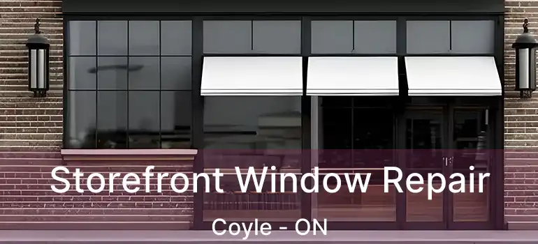  Storefront Window Repair Coyle - ON