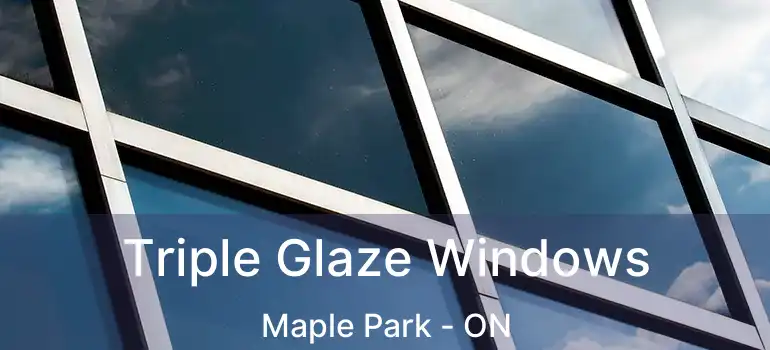  Triple Glaze Windows Maple Park - ON