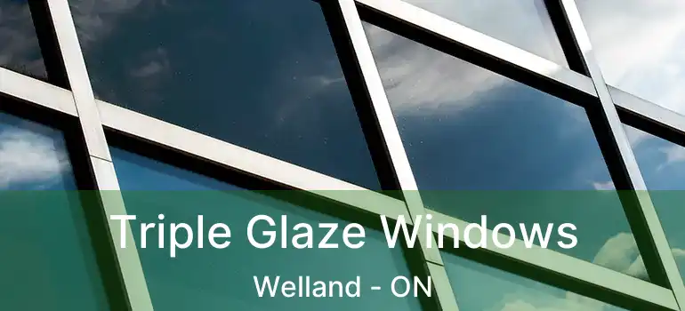  Triple Glaze Windows Welland - ON