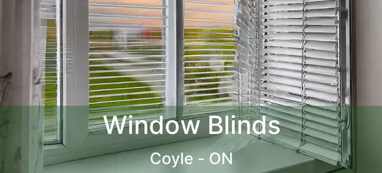  Window Blinds Coyle - ON