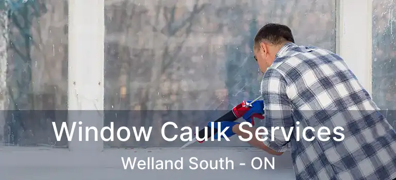  Window Caulk Services Welland South - ON