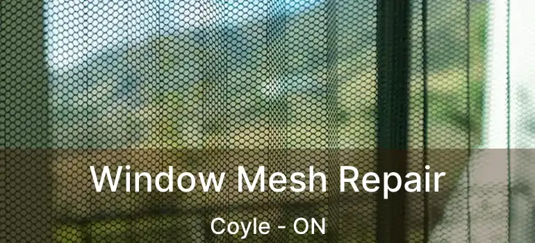  Window Mesh Repair Coyle - ON