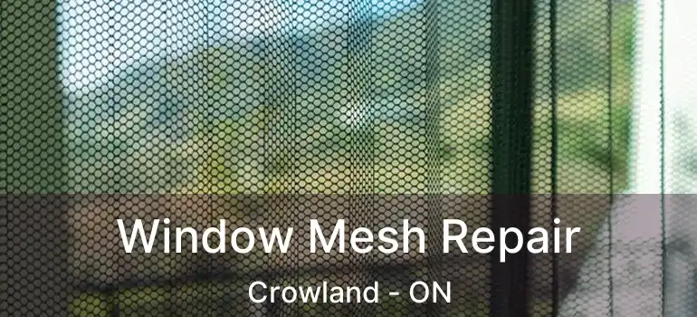  Window Mesh Repair Crowland - ON
