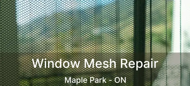  Window Mesh Repair Maple Park - ON
