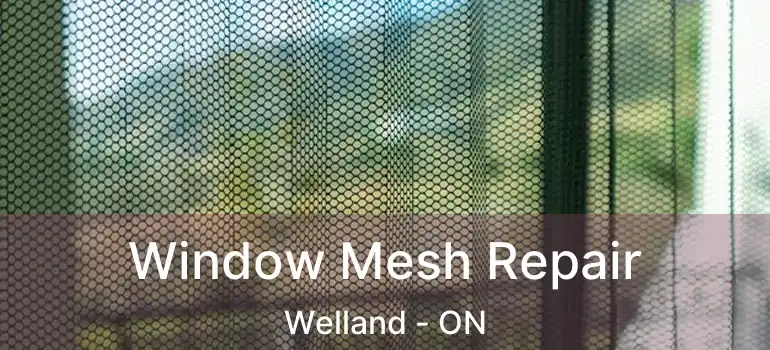  Window Mesh Repair Welland - ON