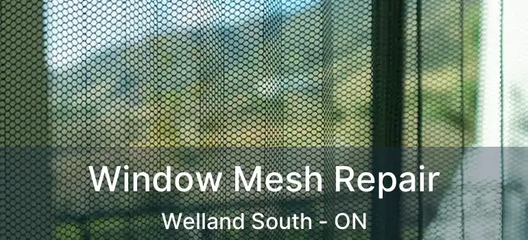  Window Mesh Repair Welland South - ON